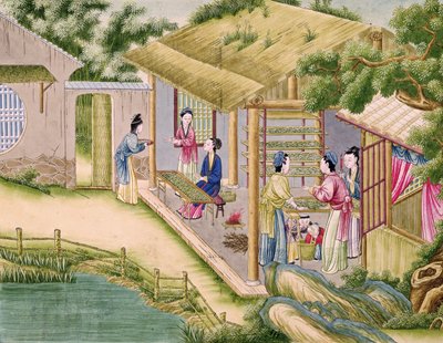 Ms 202 fol.2 Apprendimento sui bachi da seta, da un libro sull